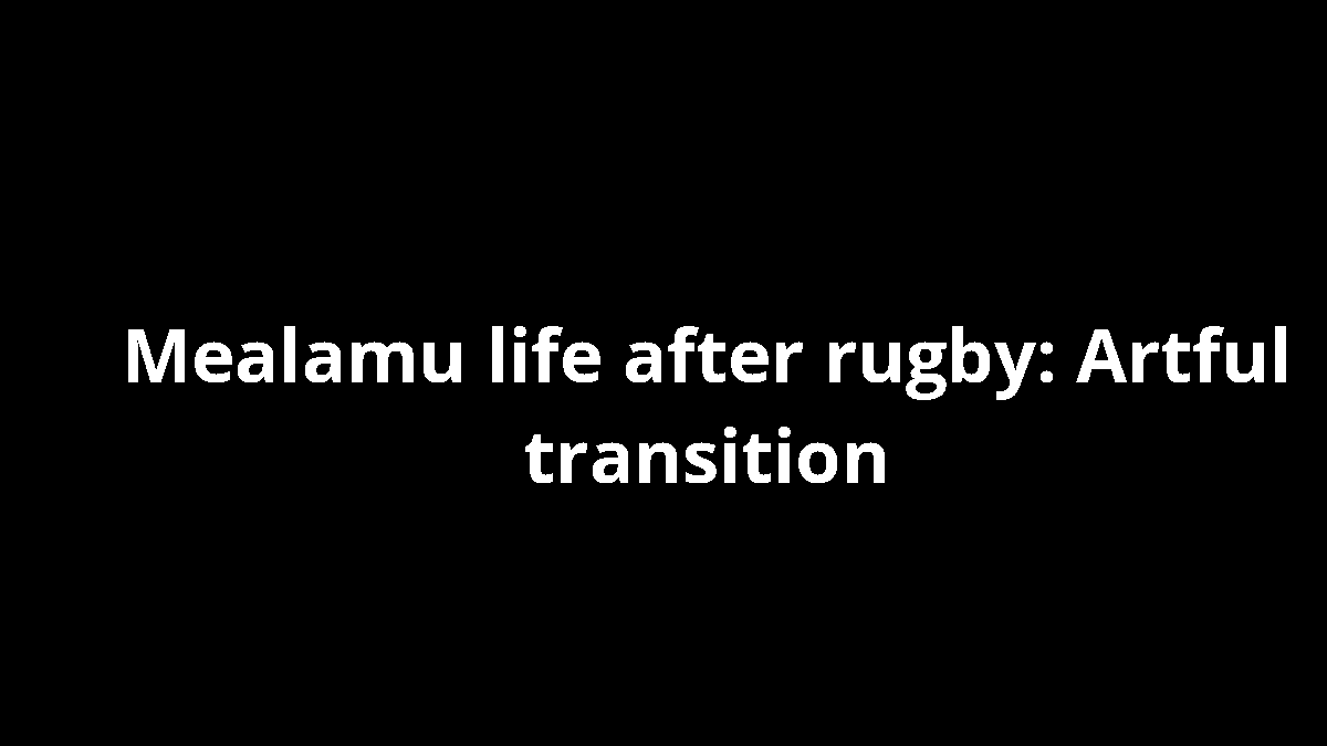 Mealamu life after rugby: Artful transition